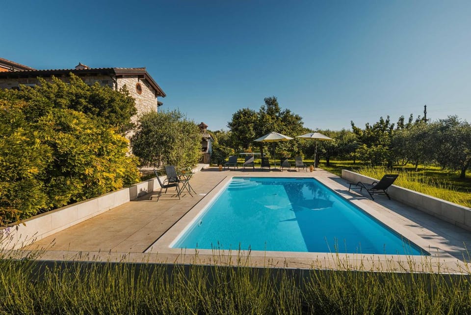 Day, Pool view, Swimming pool, sunbed