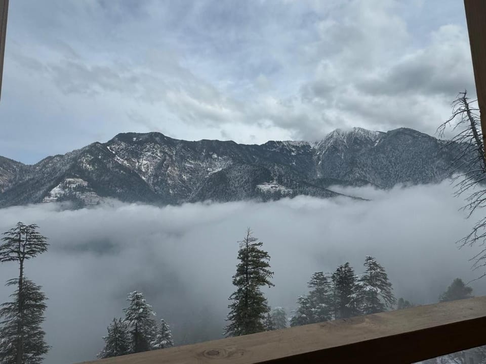 Hunting Wood Kathkuni Attic Cottage Nature lodge in Himachal Pradesh