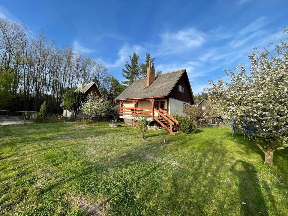 Property building, Garden, Garden, Garden view