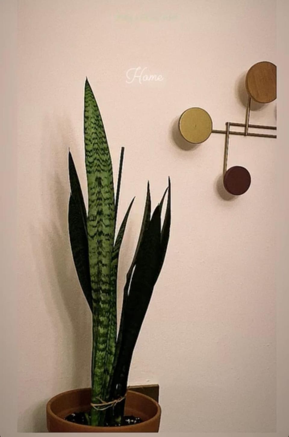 My Spiritual Vintage Home For You! House in Sardinia