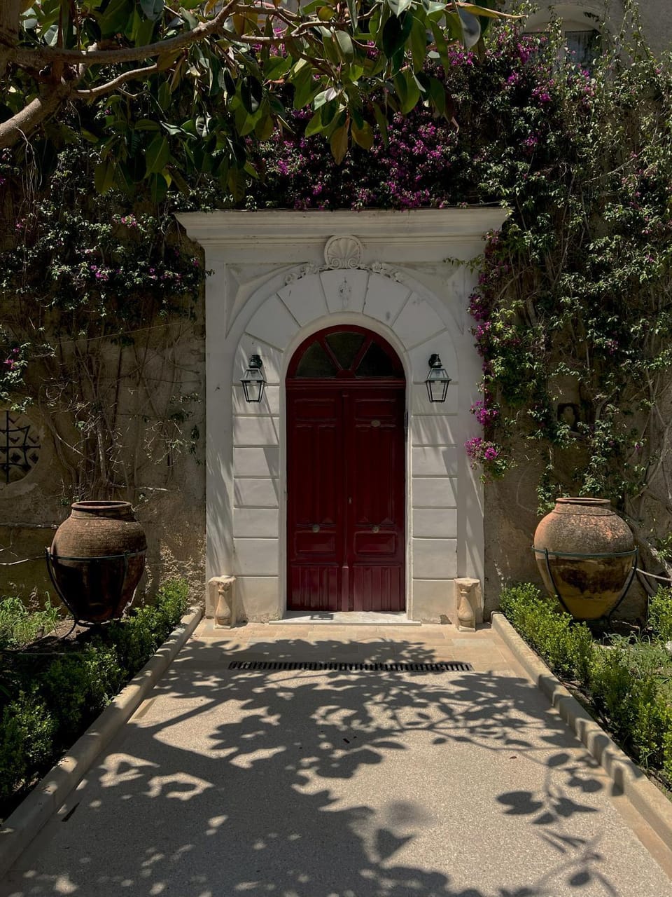 Garden view