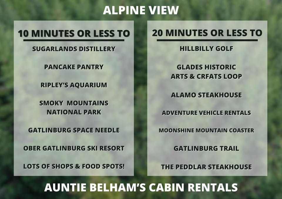 Pool table, hot tub, dogs welcome, 4 bedrooms! House in Gatlinburg