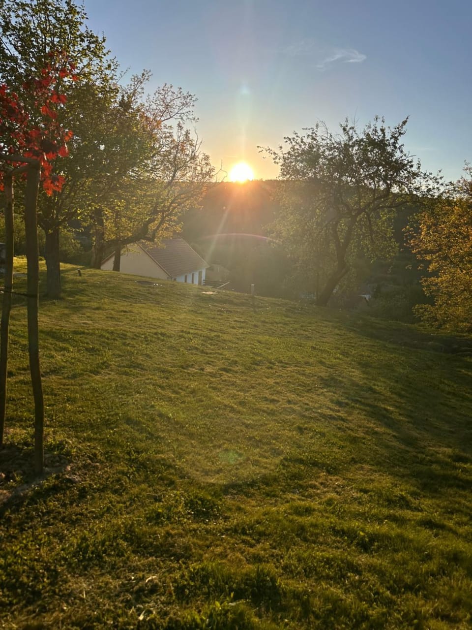 View (from property/room)
