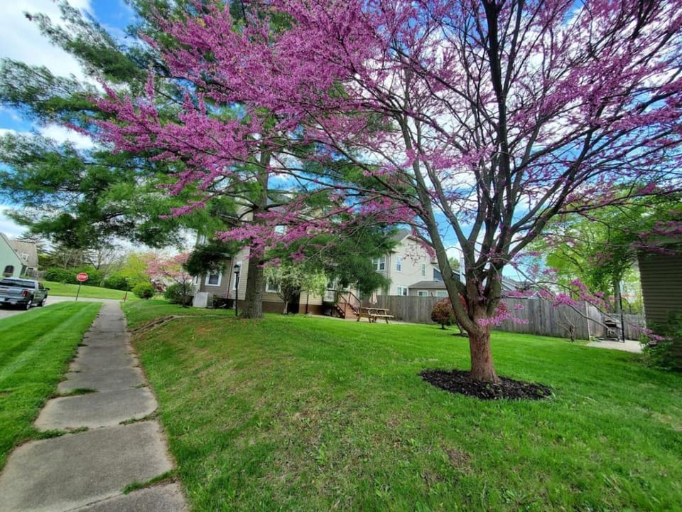 Middletown Centenarian 4 Bed 2 Bath Sleeps 12 House in Ohio