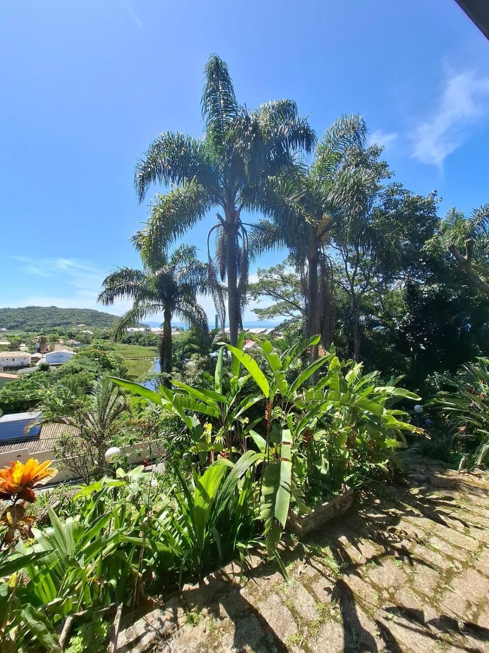 Natural landscape, Garden, Garden view, Sea view