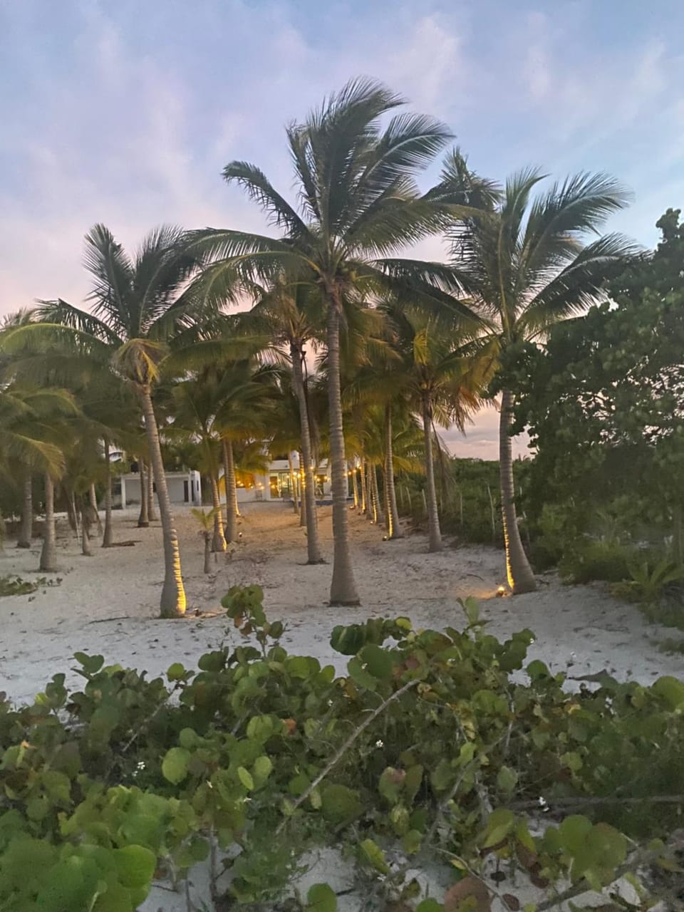 Playa bonita House in State of Quintana Roo