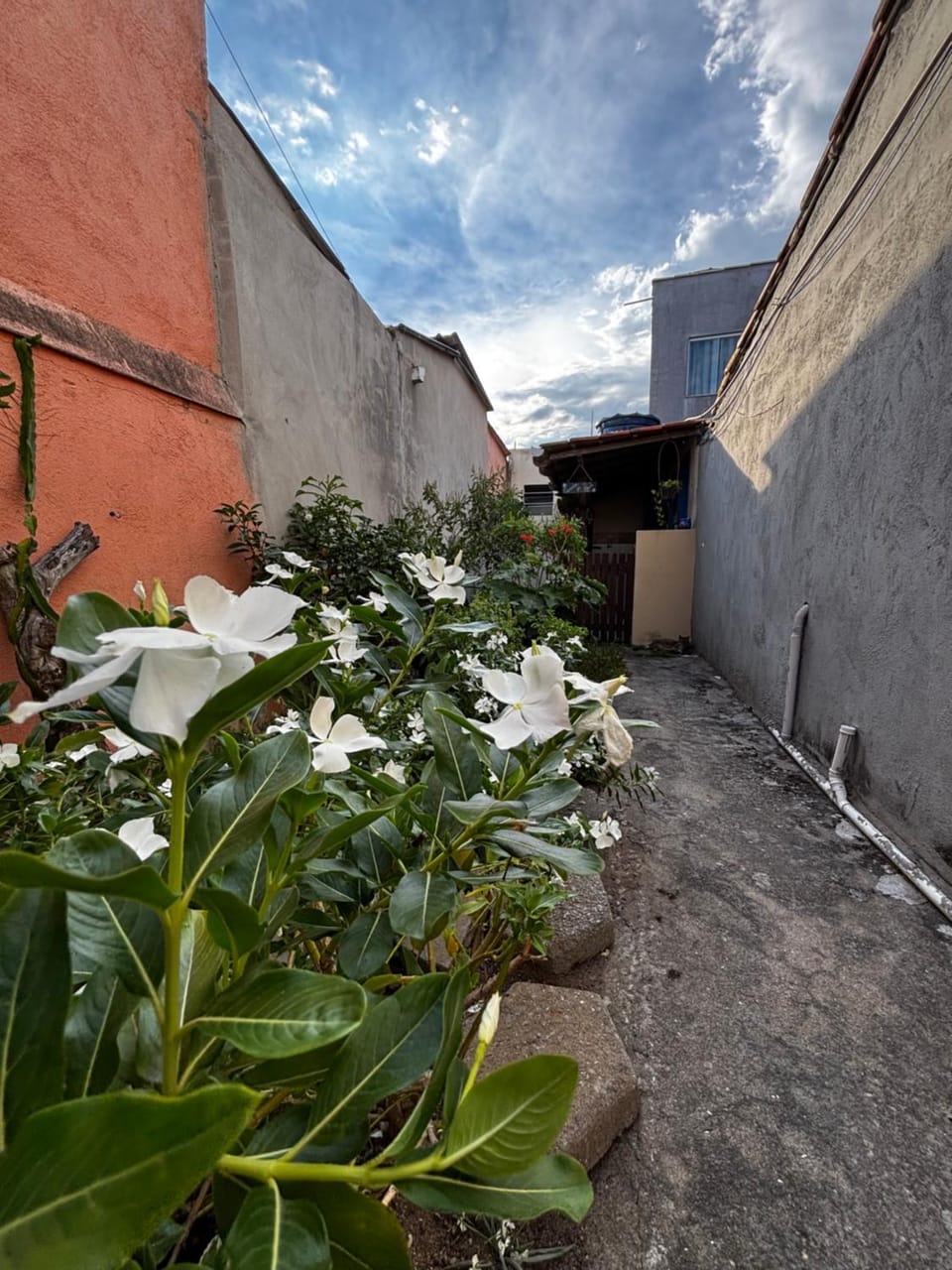 Casinha da Rosa House in Araruama