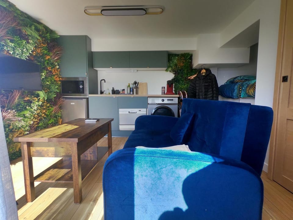 Kitchen or kitchenette, Living room, Seating area