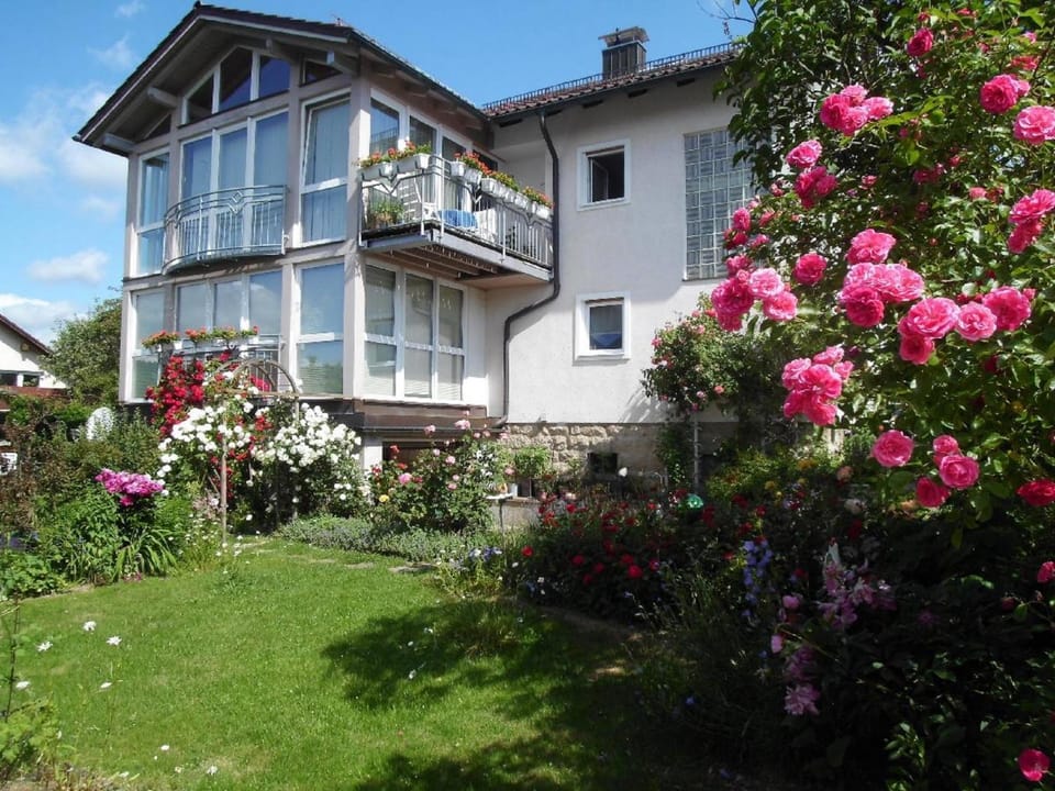 Facade/entrance, Garden