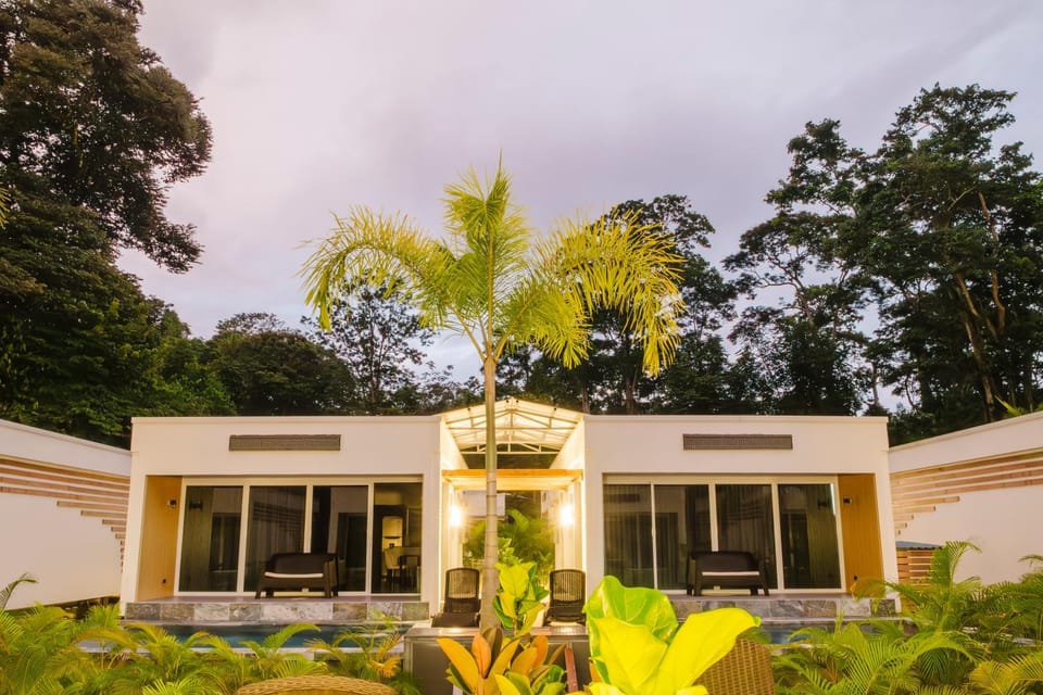 Property building, Garden view