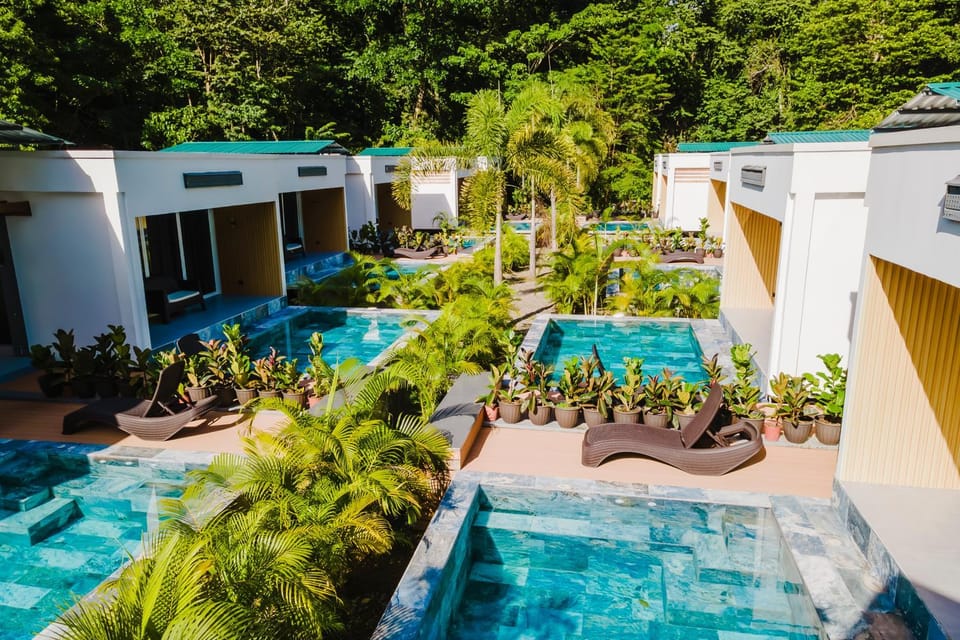 Property building, Day, Garden, Garden view, Pool view