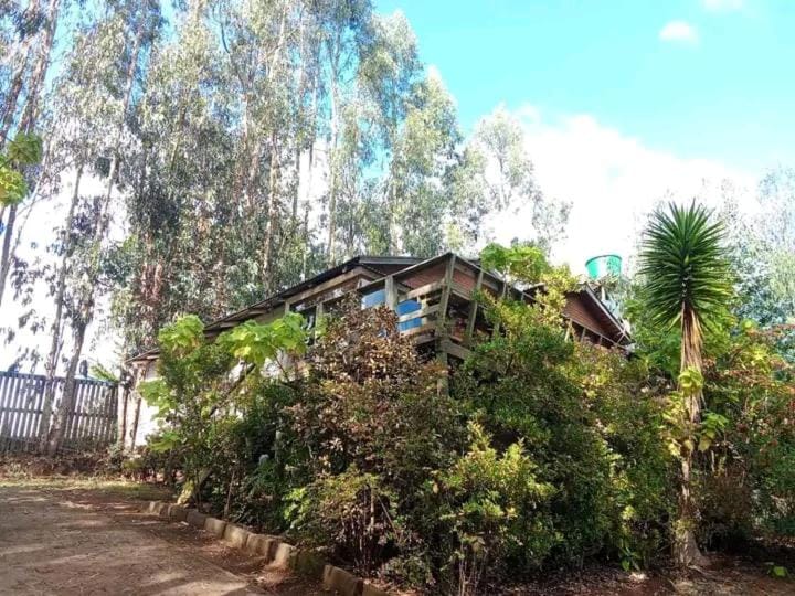 Hacienda Ecuestre Apartment hotel in Maule