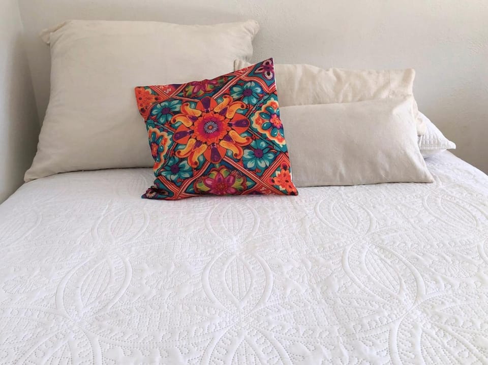 Beautiful Loft Guadalajara Style Apartment in Guadalajara