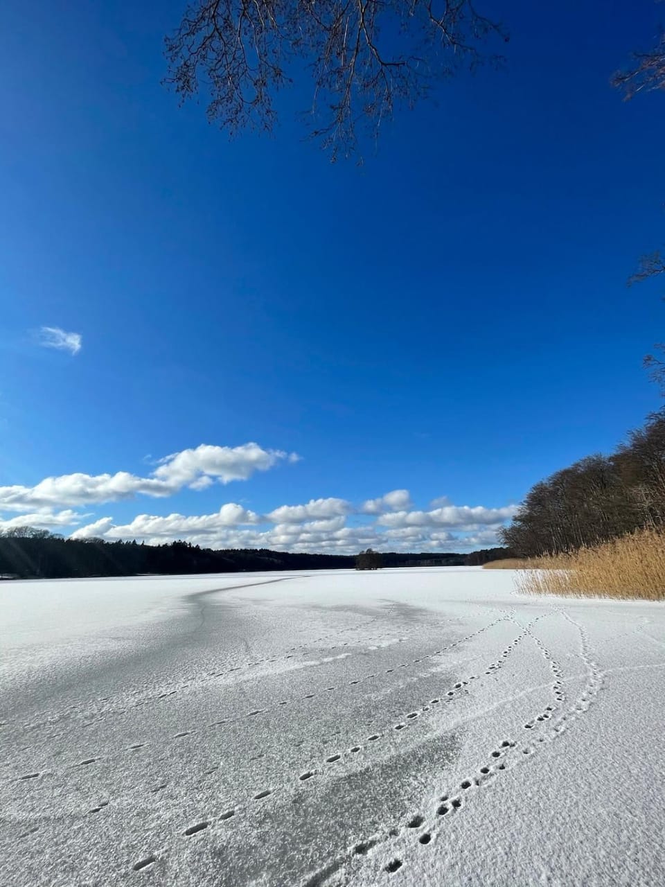 Natural landscape, Winter, Lake view
