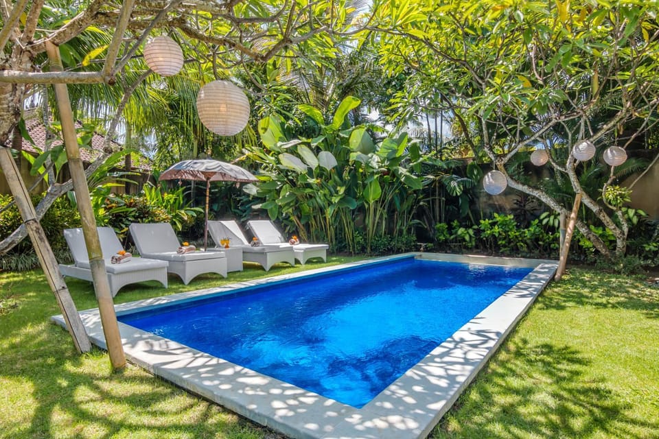 Day, Garden, Swimming pool, sunbed