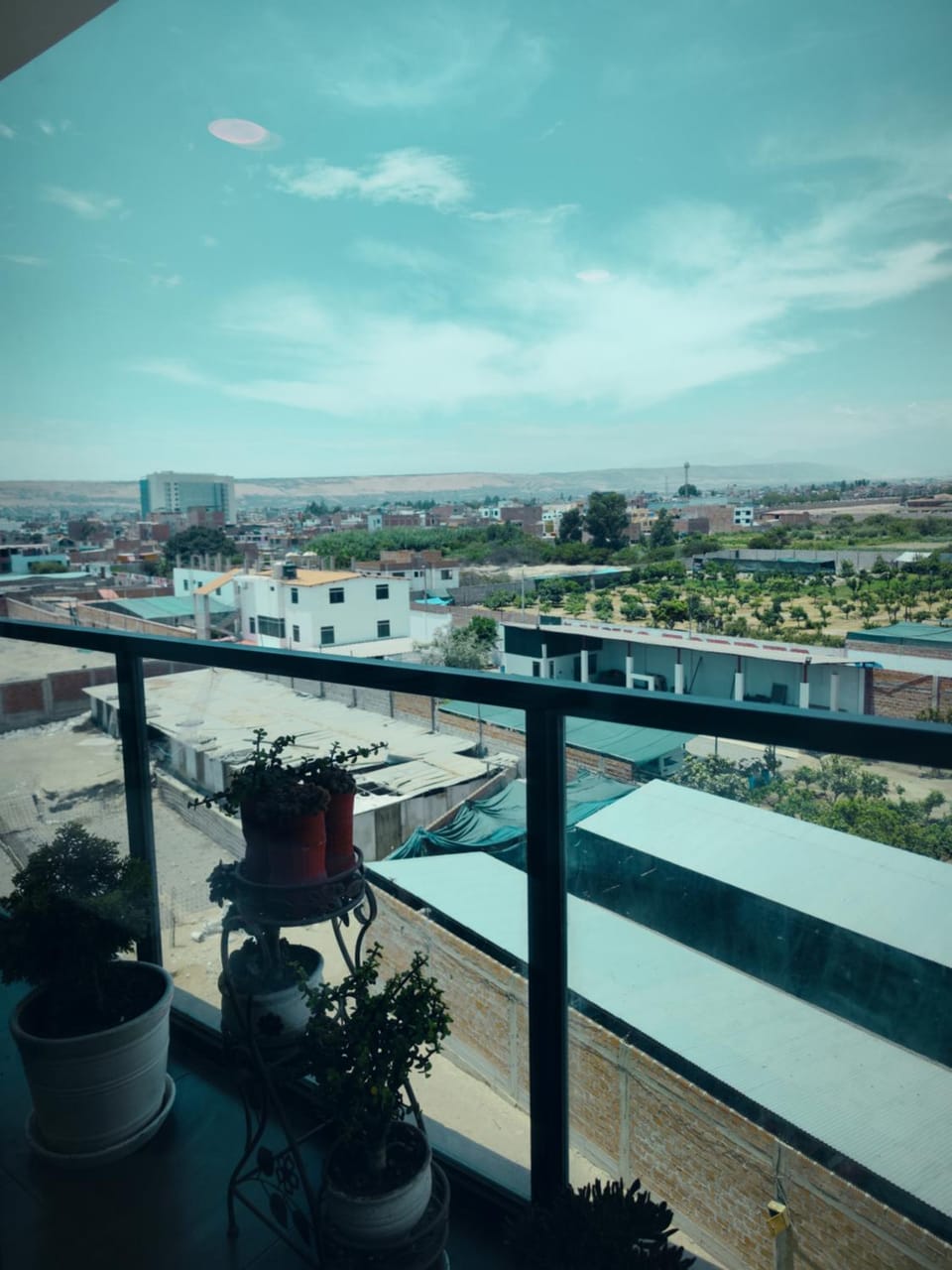 Garden view