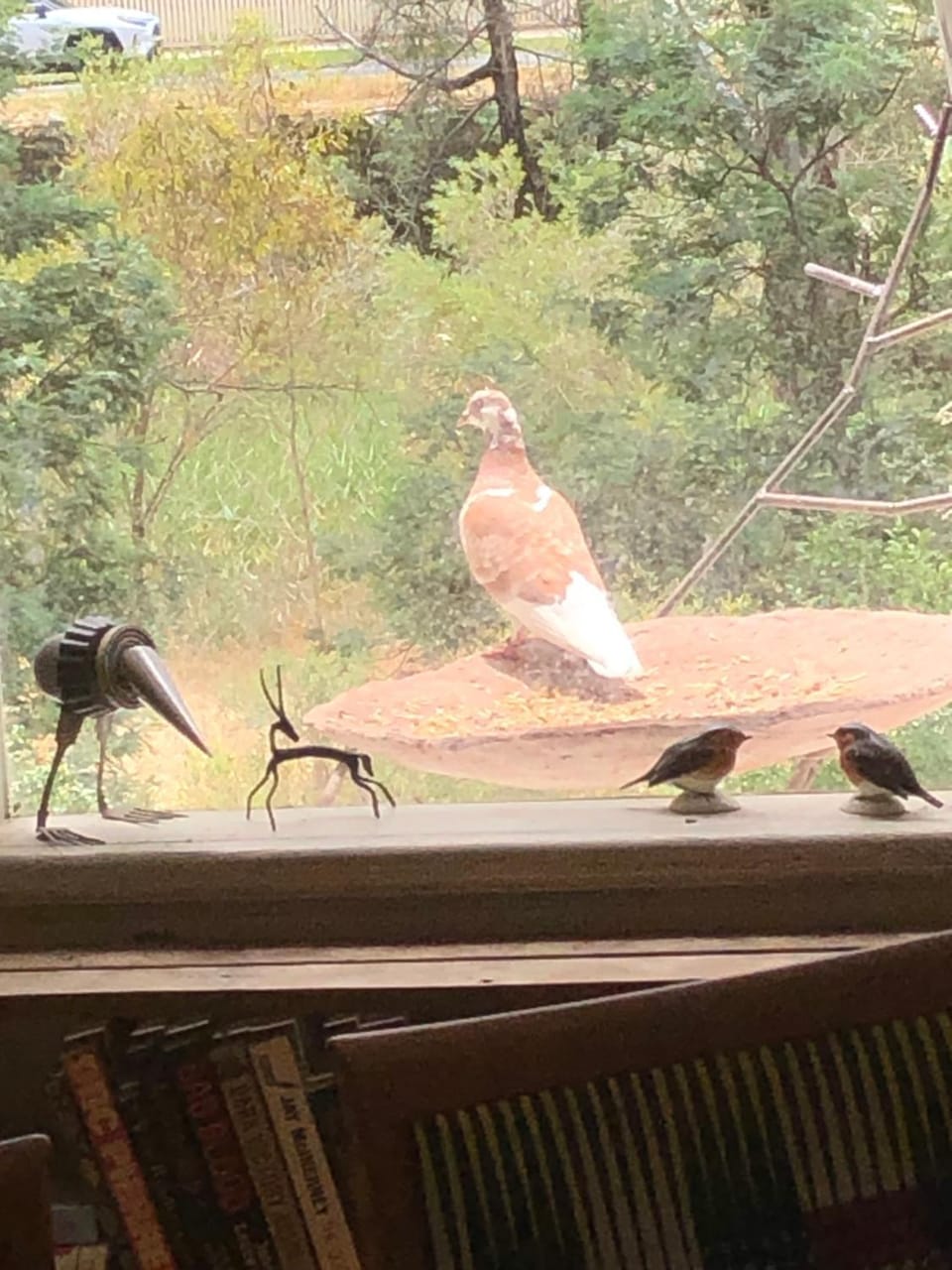 Bird Haven Central Castlemaine Apartment in Castlemaine