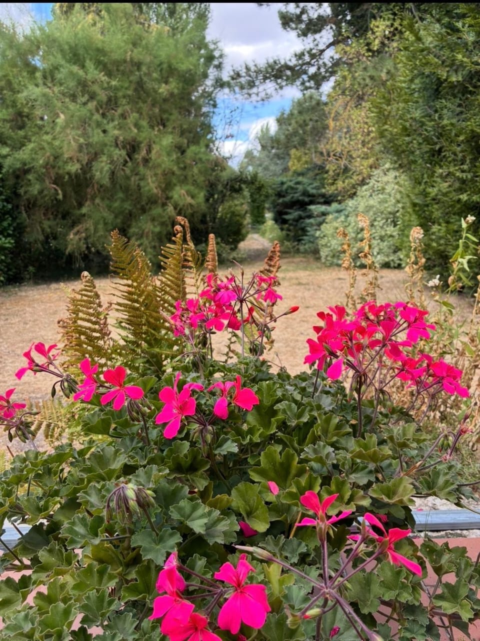 La Cunette House in Hauts-de-France