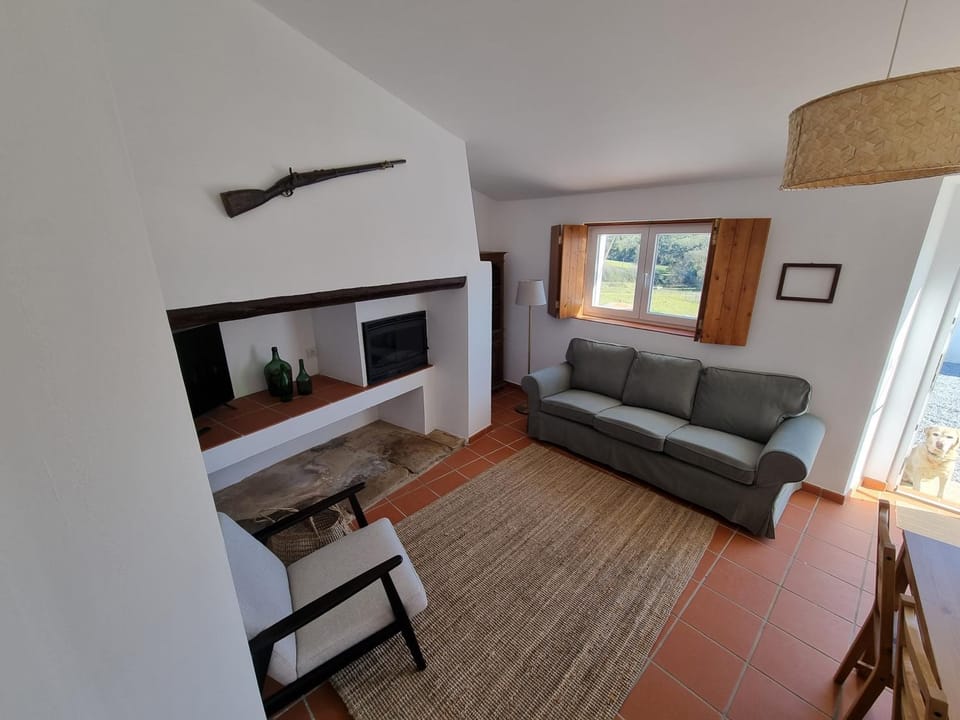 Living room, Seating area, fireplace