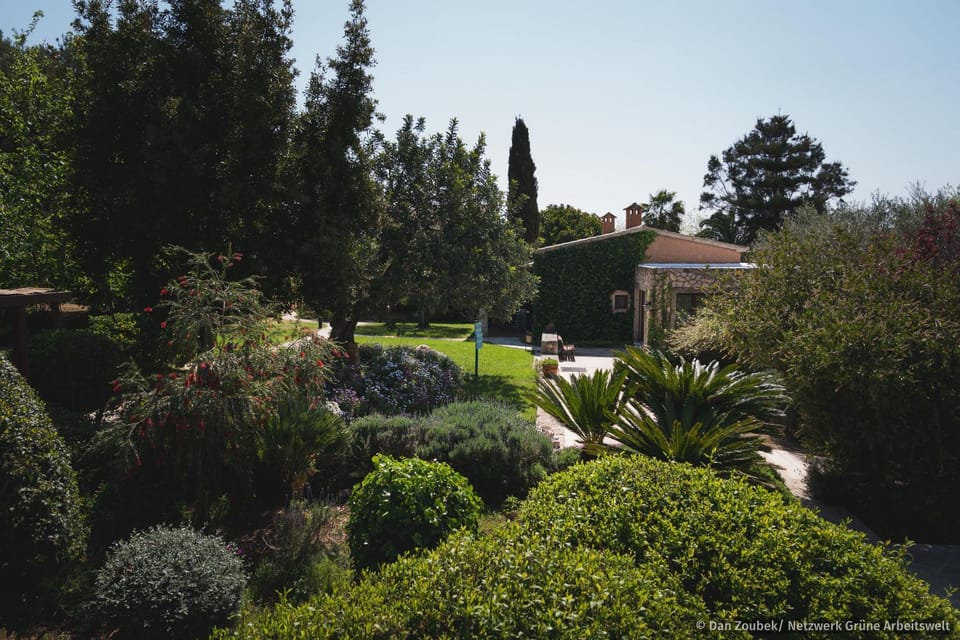 Sa Vaqueria House in Llevant