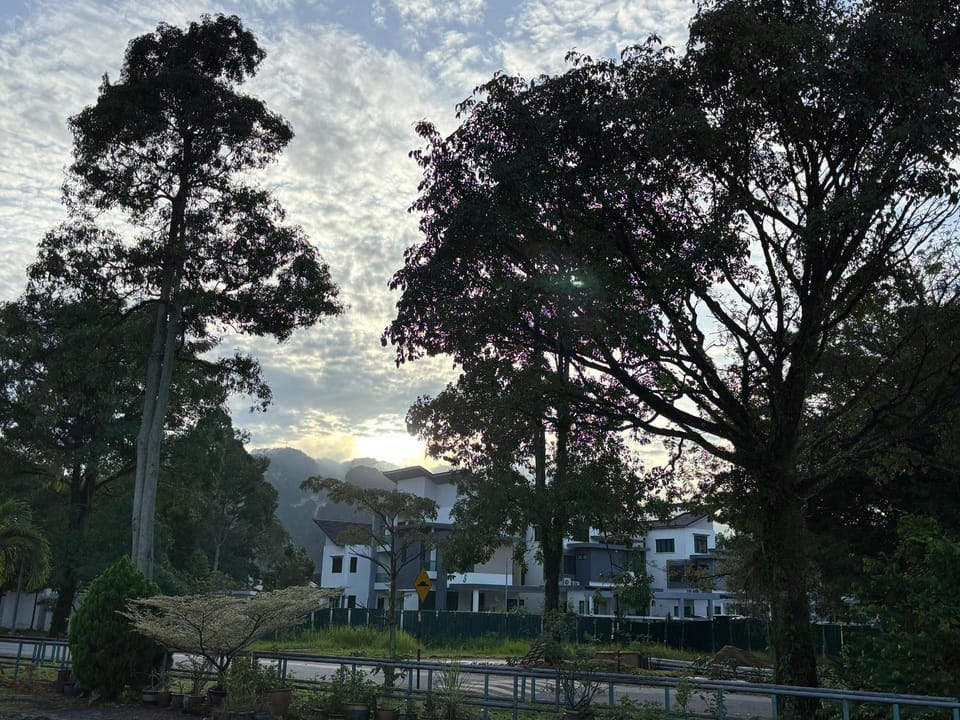 Mountain view