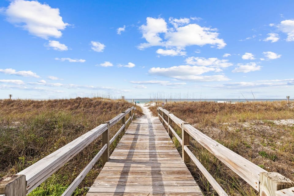 Neighbourhood, Natural landscape, Beach