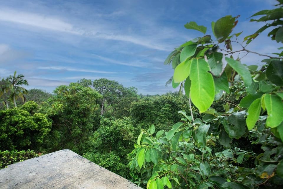 Natural landscape, Garden view