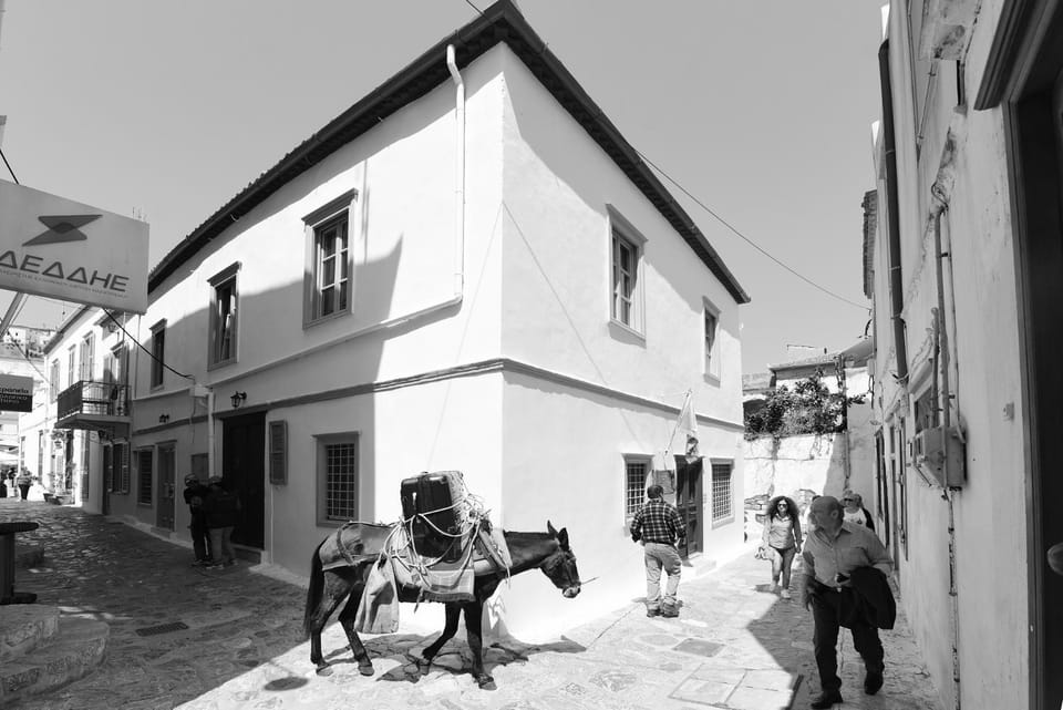 Property building, Facade/entrance, Day, Neighbourhood, Bird's eye view, Animals, On site, Street view