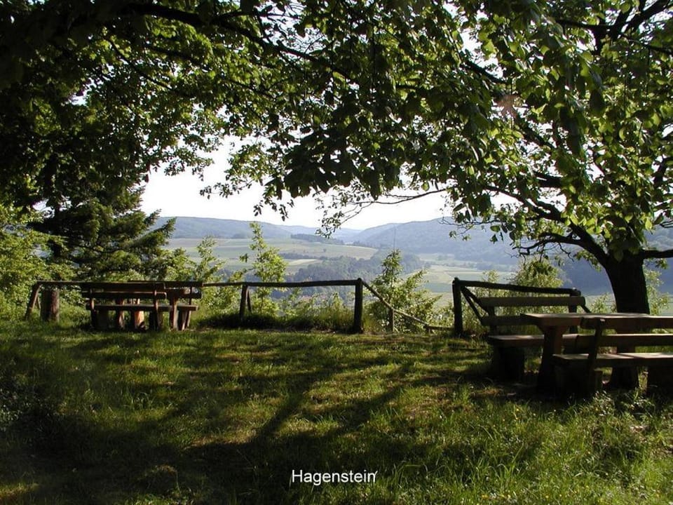 Ferienwohnung Hamel Apartment in Hochsauerlandkreis