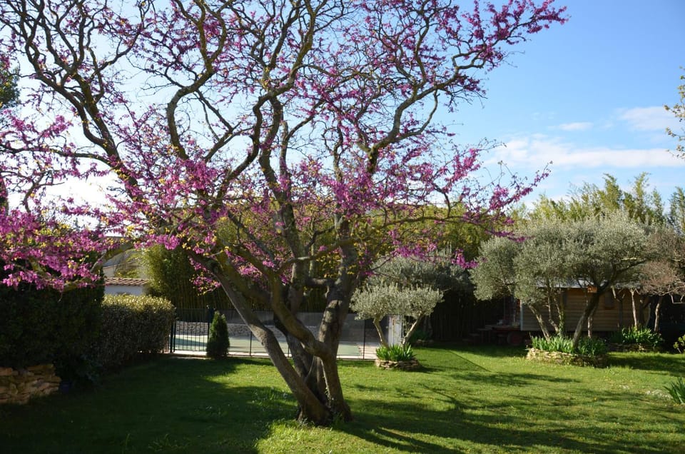 Garden, Garden view