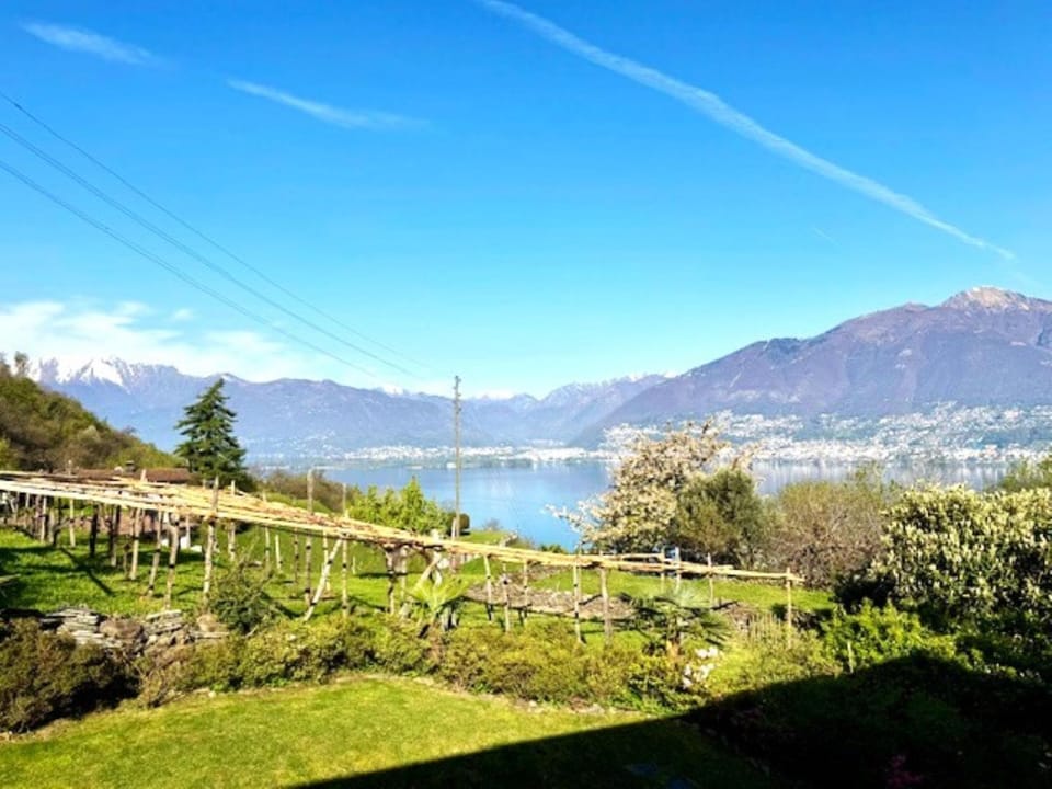 Lake view