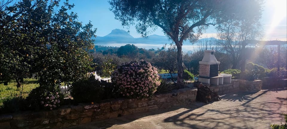 Garden, Mountain view