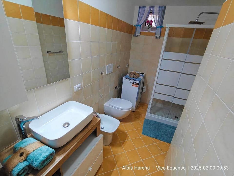 Shower, Toilet, Bathroom, bidet