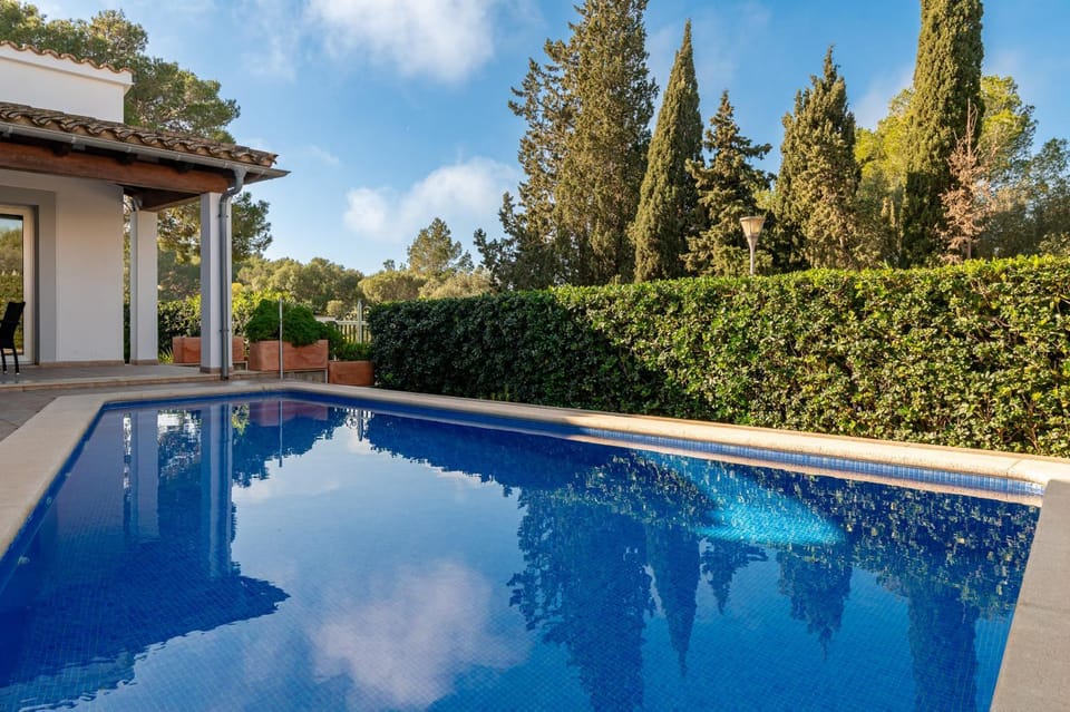 Patio, Garden, Garden view