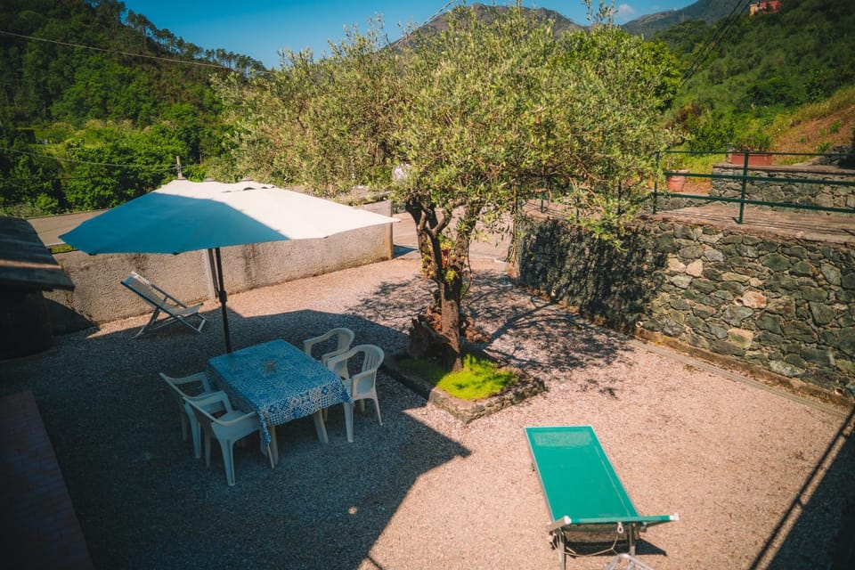 Patio, Garden, Garden view