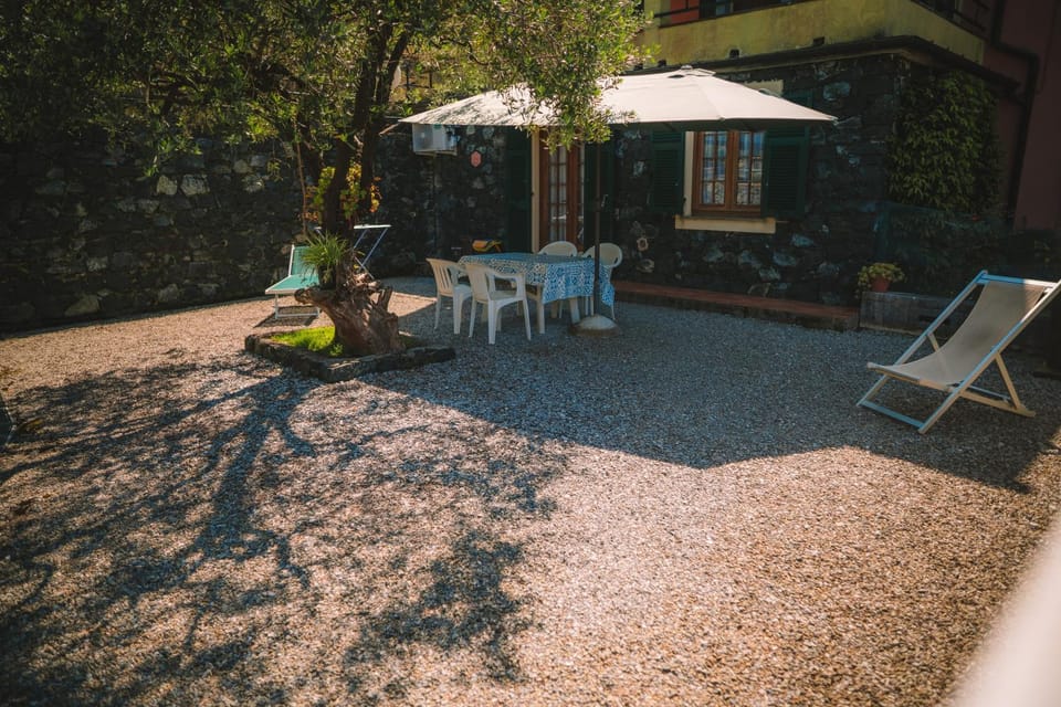Patio, Garden, Dining area
