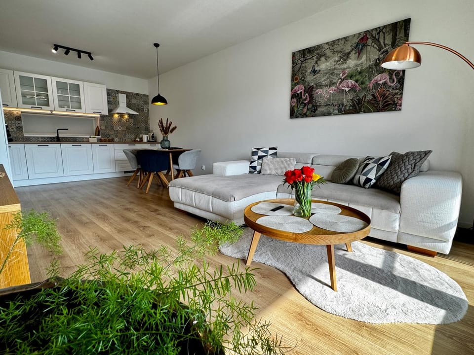 Living room, kitchen