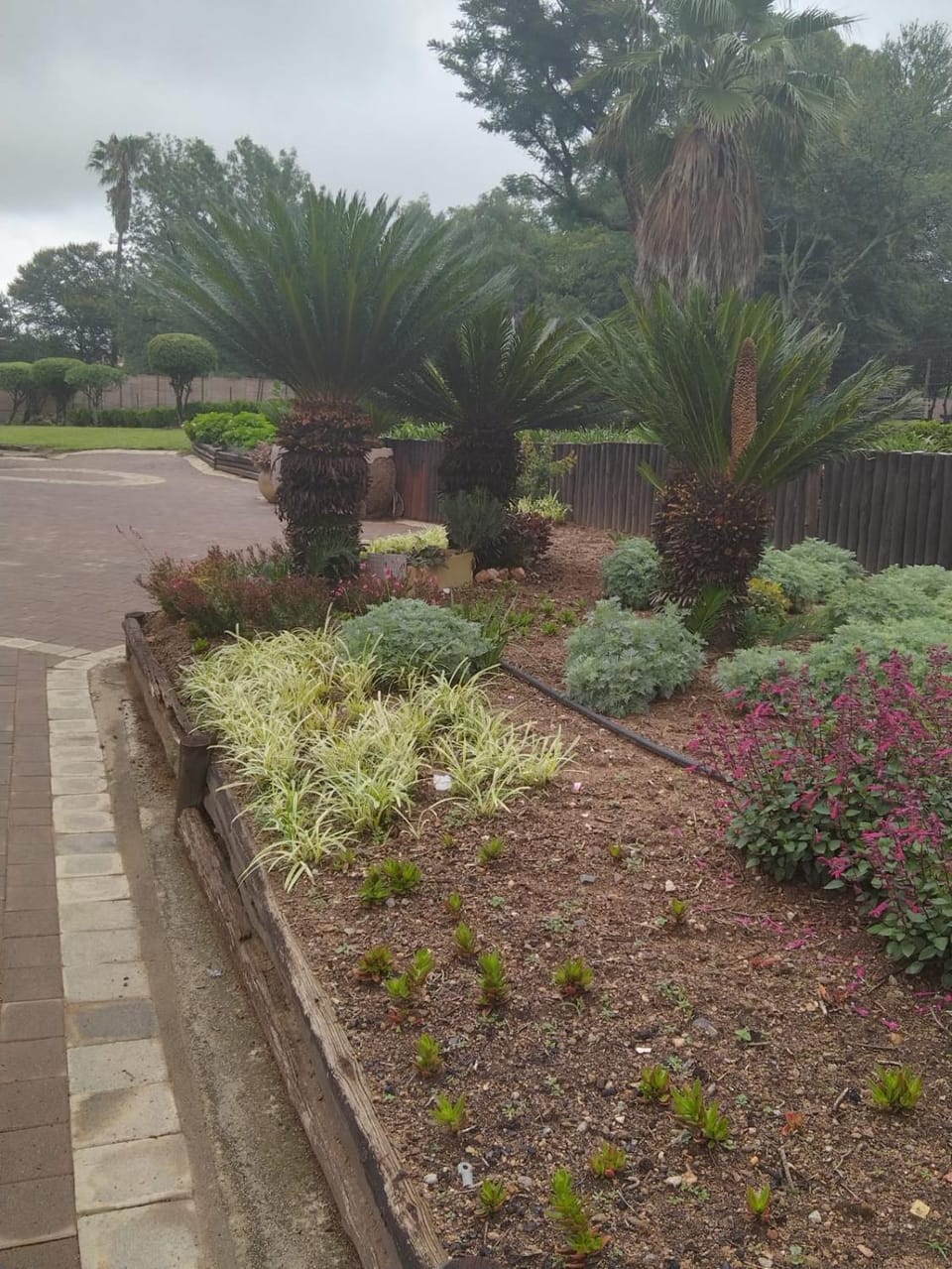 The Adress Events Venue Apartment in Gauteng