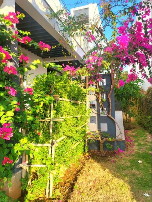 Beach Oceanami Villa Villa in Ba Ria - Vung Tau