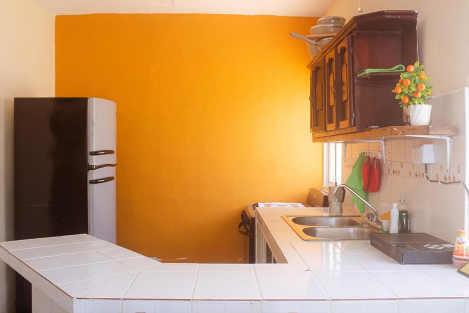 Kitchen or kitchenette, minibar, oven, stove