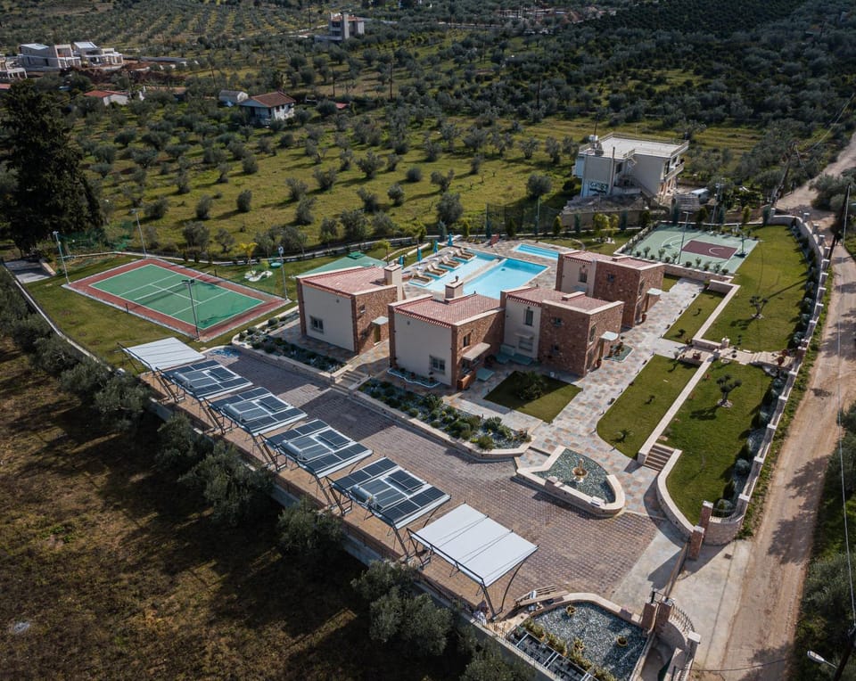 Day, Bird's eye view