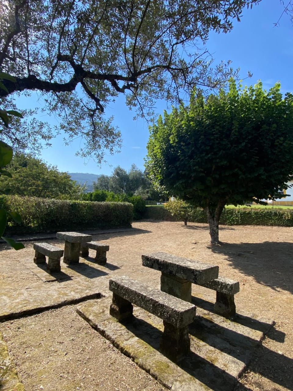 Day, Natural landscape, Garden