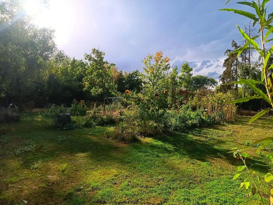 Garden view