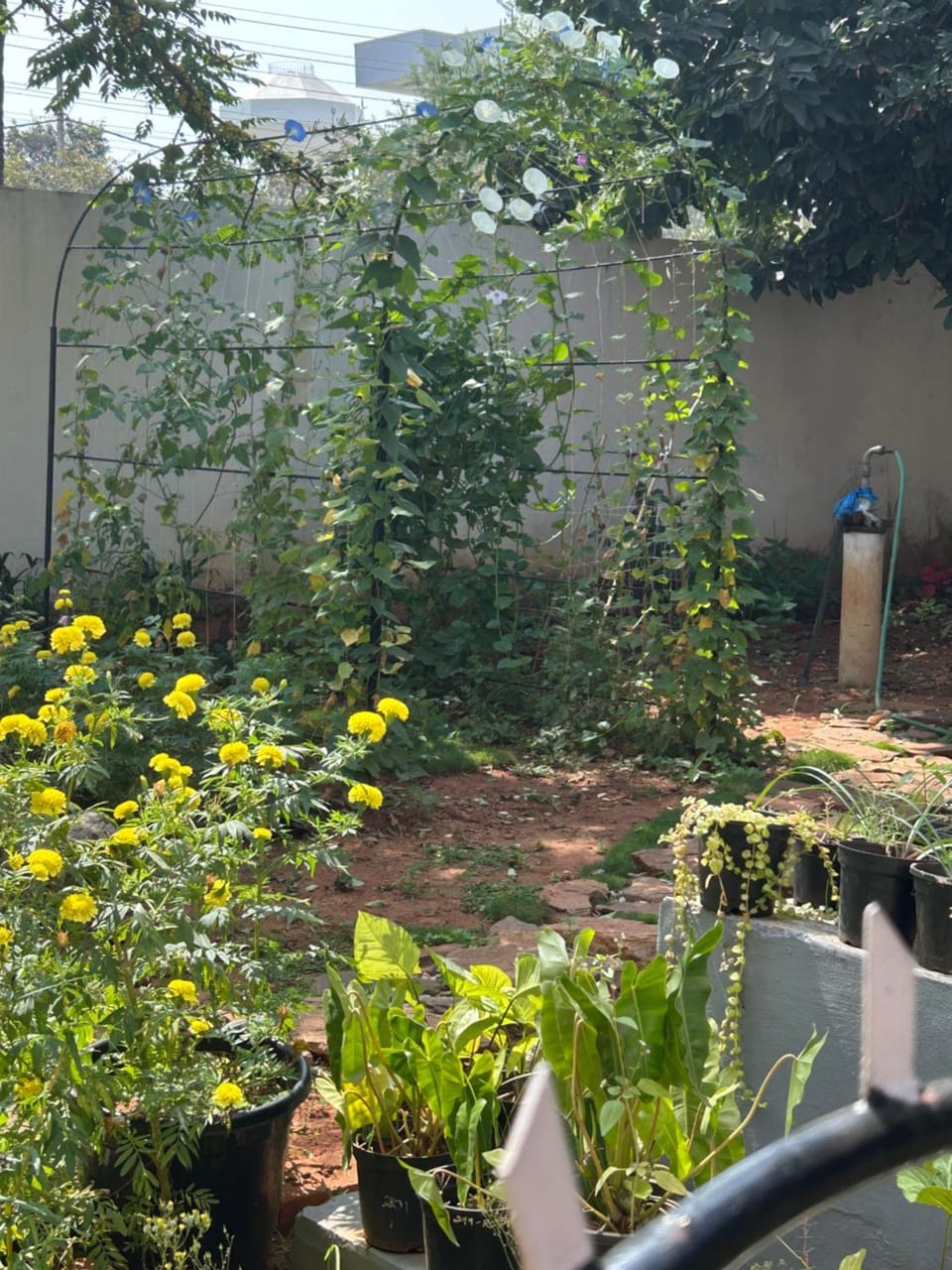 Sogni D oro House in Mysuru