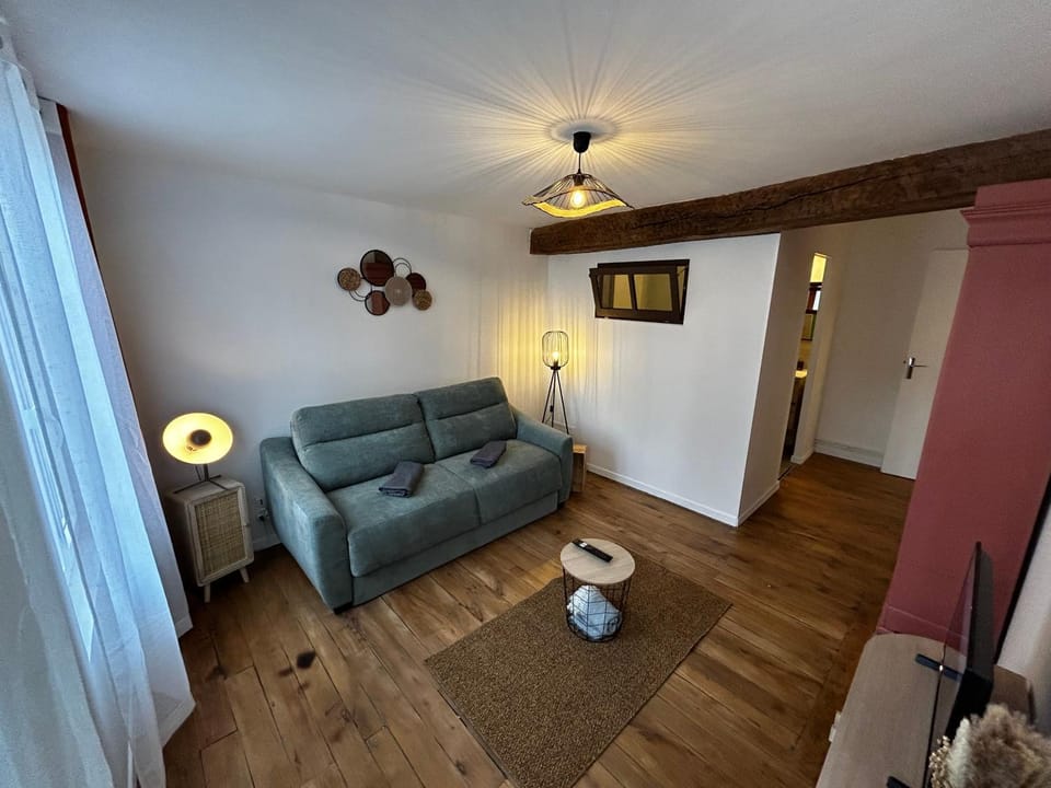 Le Bois Jaillant - Wifi - Centre ville historique - Proche Gare Apartment in Troyes