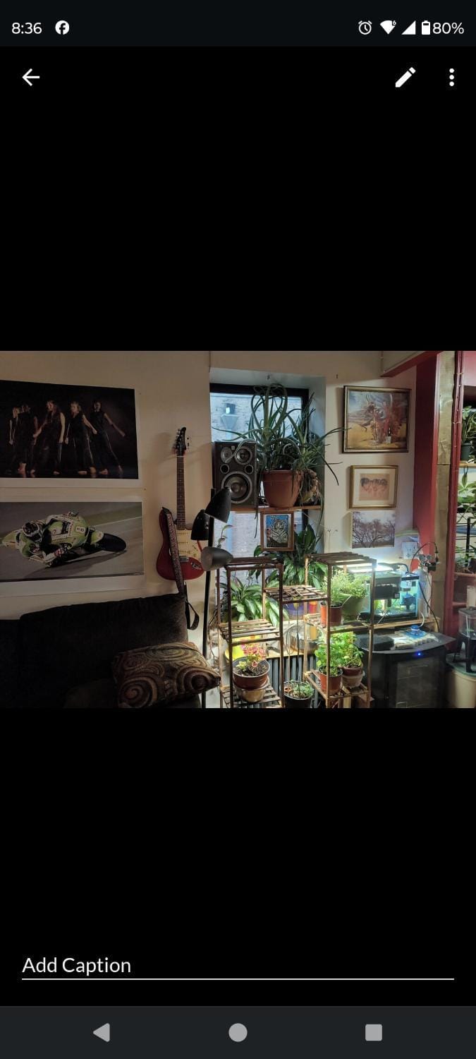 My apartment Vacation rental in Harlem