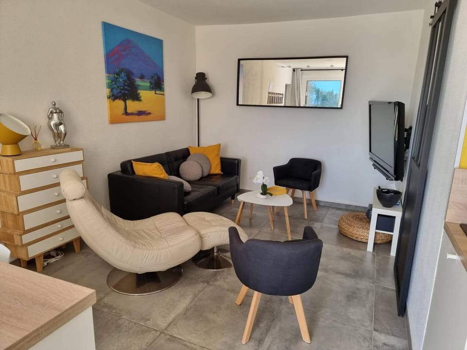 Superbe appartement entièrement rénové 4EST211 Apartment in Le Barcarès