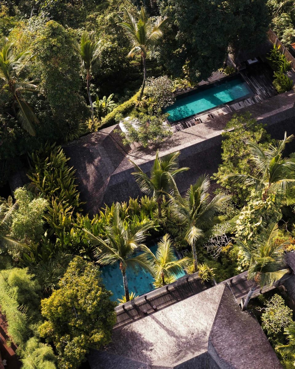 Spring, Day, Natural landscape, Bird's eye view, Garden, Garden view, Pool view, Swimming pool