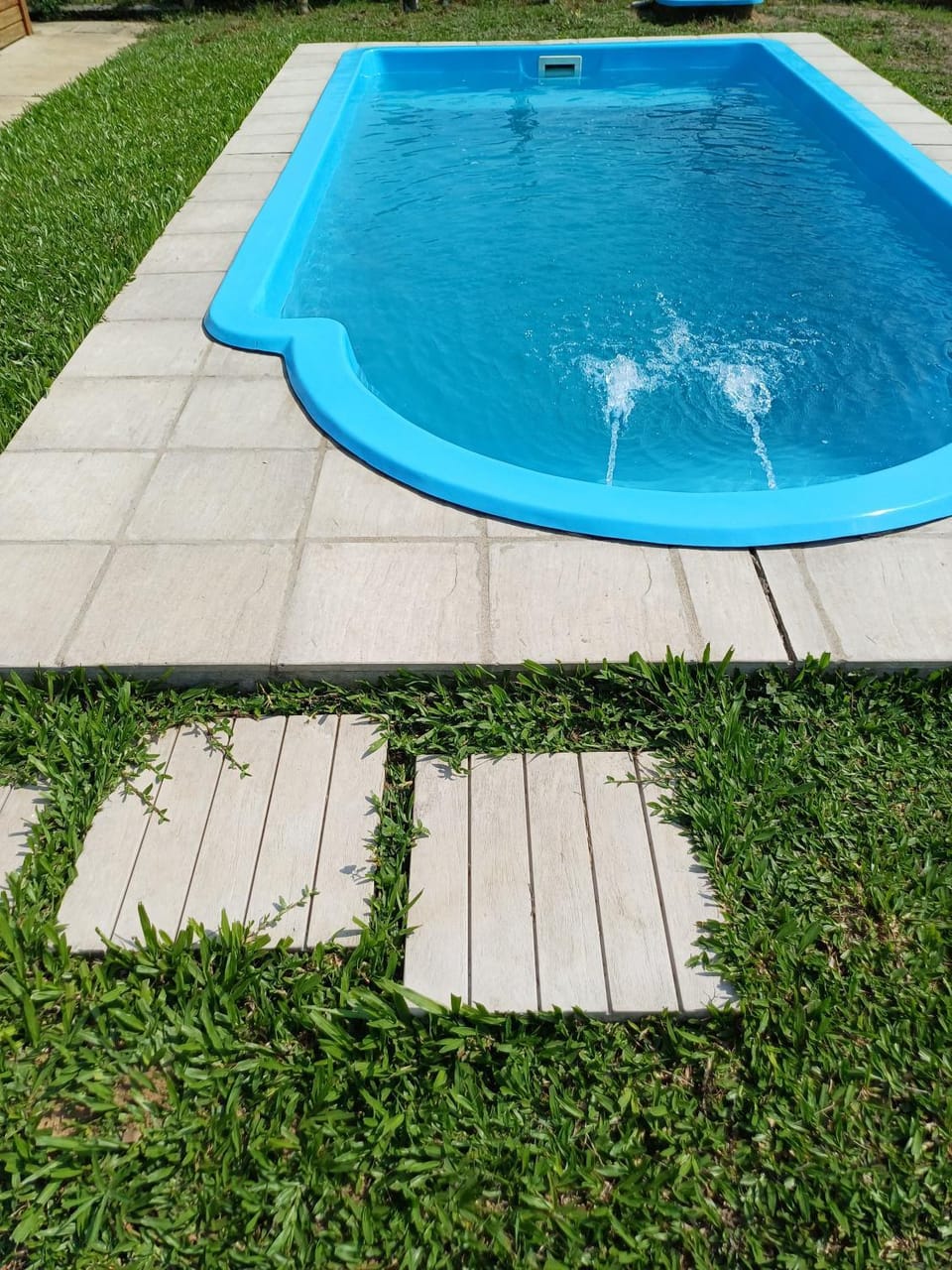 Garden, Pool view, Swimming pool
