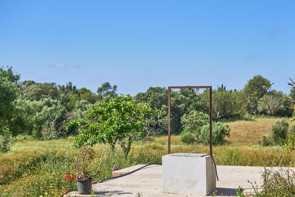 Finca Galeri House in Migjorn